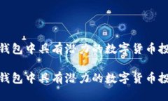 探索TP钱包中具有潜力的数