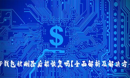 TP钱包被删除后能恢复吗？全面解析及解决方案