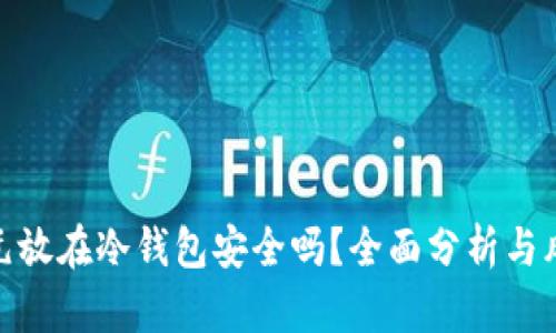 500万元放在冷钱包安全吗？全面分析与风险揭示