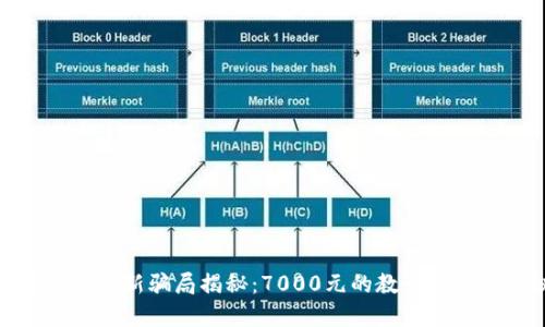 : TP钱包最新骗局揭秘：7000元的教训与防范建议