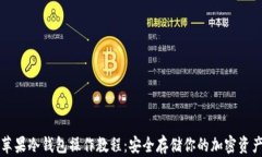 苹果冷钱包操作教程：安