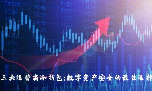 三大运营商冷钱包：数字资产安全的最佳选择