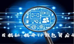 FIZZ币项目揭秘：揭开TP钱