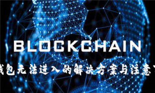 TP钱包无法进入的解决方案与注意事项