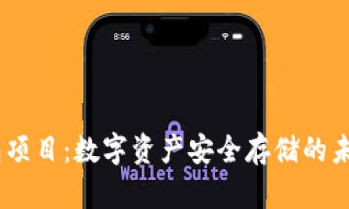 DSIM冷钱包项目：数字资产安全存储的未来解决方案