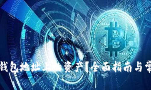 如何查询冷钱包地址上的资产？全面指南与常见问题解答