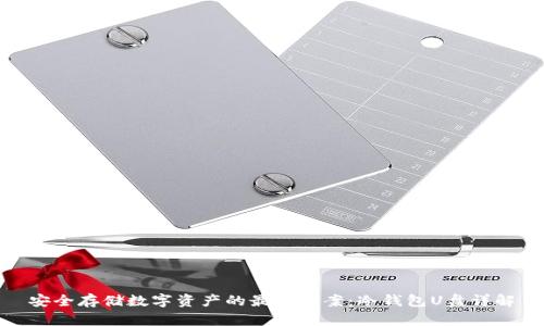 安全存储数字资产的最佳方案：冷钱包U盘详解