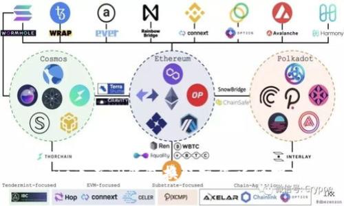 suc币在TP钱包换取操作详细指南