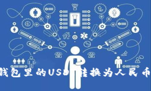 如何将TP钱包里的USDT转换为人民币：全面指南