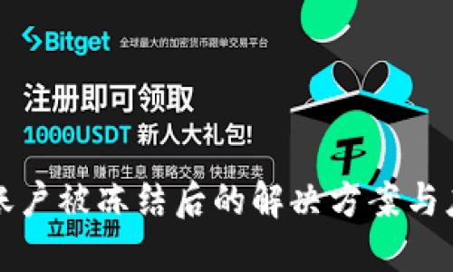 比特派账户被冻结后的解决方案与应对策略