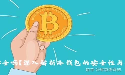 银行冷钱包安全吗？深入解析冷钱包的安全性与使用注意事项