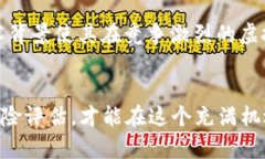    虚拟币 ASS：全面解析与