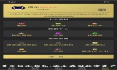 : 深入了解量子链冷钱包：