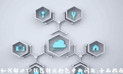 
如何解决TP钱包转出打包中的问题：全面指南