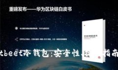 全面解析Bitbeet冷钱包：安