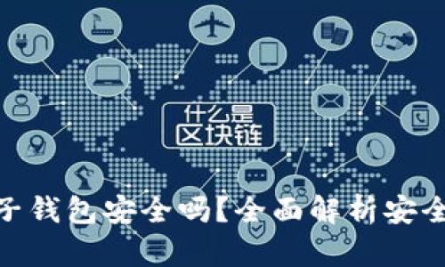 : TP钱包子钱包安全吗？全面解析安全性与风险