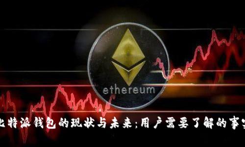 比特派钱包的现状与未来：用户需要了解的事实
