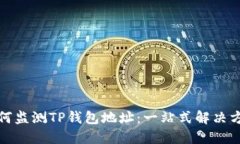 如何监测TP钱包地址：一站
