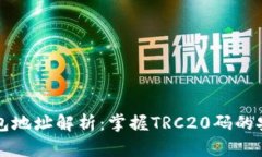 波场冷钱包地址解析：掌