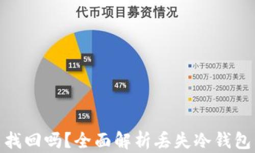 
冷钱包丢了能找回吗？全面解析丢失冷钱包后的应对措施