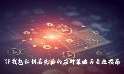 TP钱包私钥丢失后的应对策略与自救指南