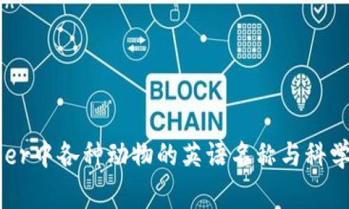 Ledger中各种动物的英语名称与科学分类