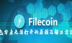 TP钱包分身无法打开的原因