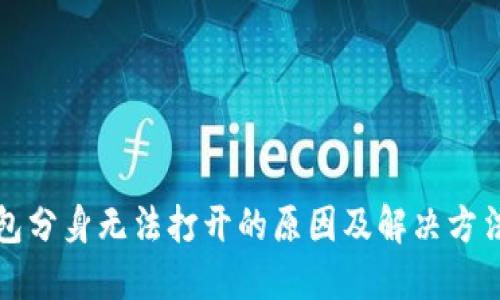 TP钱包分身无法打开的原因及解决方法详解