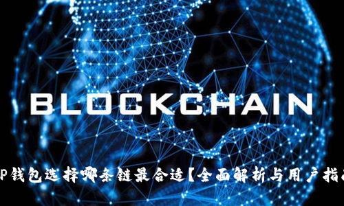 TP钱包选择哪条链最合适？全面解析与用户指南