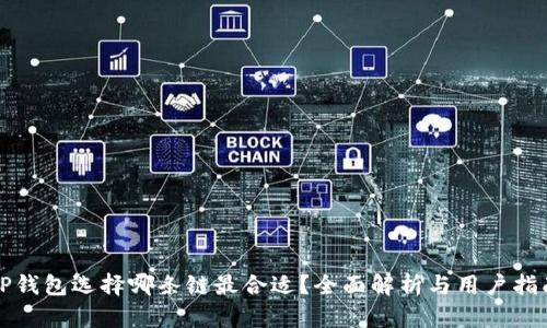 TP钱包选择哪条链最合适？全面解析与用户指南