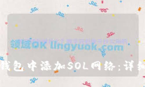: 如何在TP钱包中添加SOL网络：详细步骤与指南