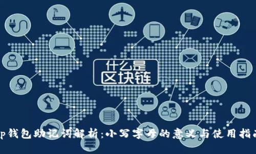 tp钱包助记词解析：小写字母的意义与使用指南