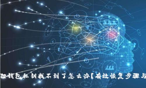 小狐狸钱包私钥找不到了怎么办？有效恢复步骤与建议