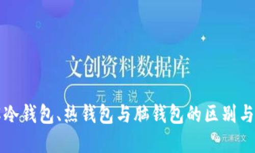 深入了解冷钱包、热钱包与脑钱包的区别与使用指南