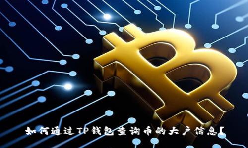如何通过TP钱包查询币的大户信息？