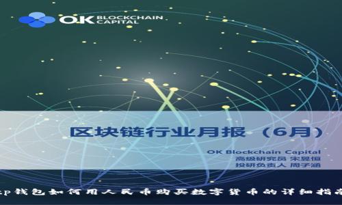 tp钱包如何用人民币购买数字货币的详细指南