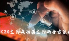 TRC20支付成功圈支付的全