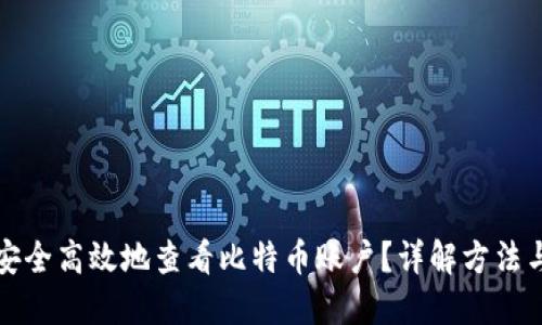 如何安全高效地查看比特币账户？详解方法与技巧