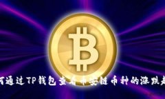 如何通过TP钱包查看币安链