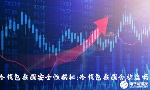 冷钱包截图安全性揭秘：冷钱包截图会被盗吗？