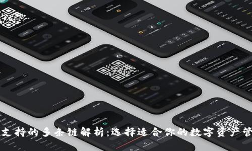 TP钱包支持的多条链解析：选择适合你的数字资产管理平台