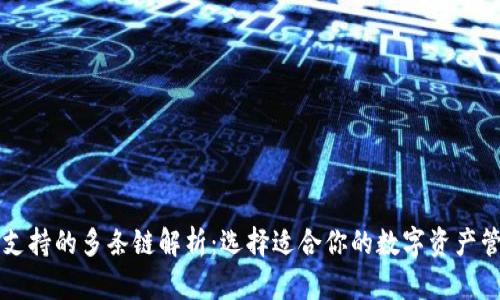 TP钱包支持的多条链解析：选择适合你的数字资产管理平台