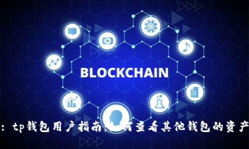 : tp钱包用户指南：如何查看其他钱包的资产