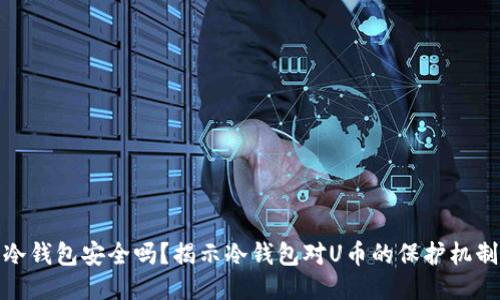 冷钱包安全吗？揭示冷钱包对U币的保护机制