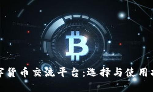 数字货币交流平台：选择与使用指南