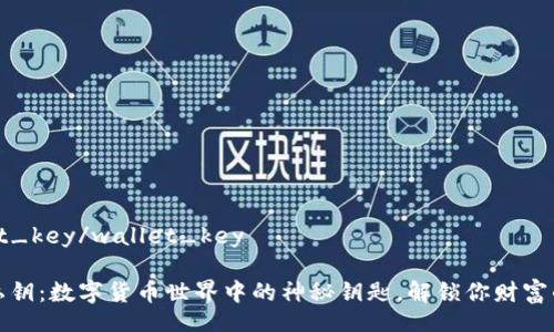 wallet_key/wallet_key

钱包私钥：数字货币世界中的神秘钥匙，解锁你财富的宝藏