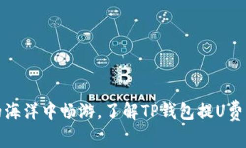 在数字资产的海洋中畅游，了解TP钱包提U费用的隐秘角落
