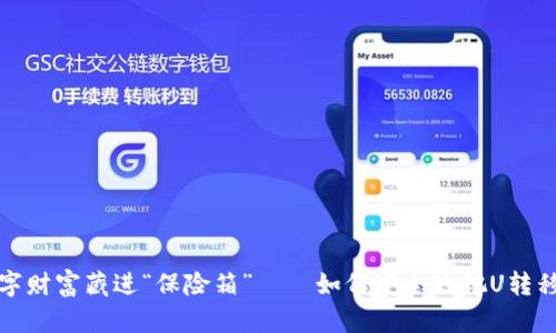 将你的数字财富藏进“保险箱”——如何安全地把U转移到冷钱包