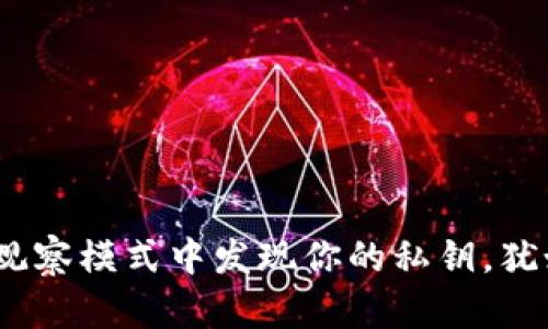 TP钱包：在观察模式中发现你的私钥，犹如寻宝秘籍