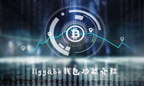  liggabk钱包功能介绍